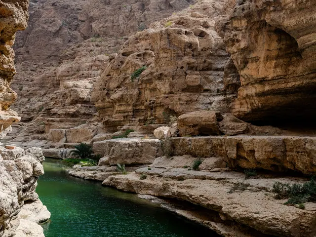وكالات السفر